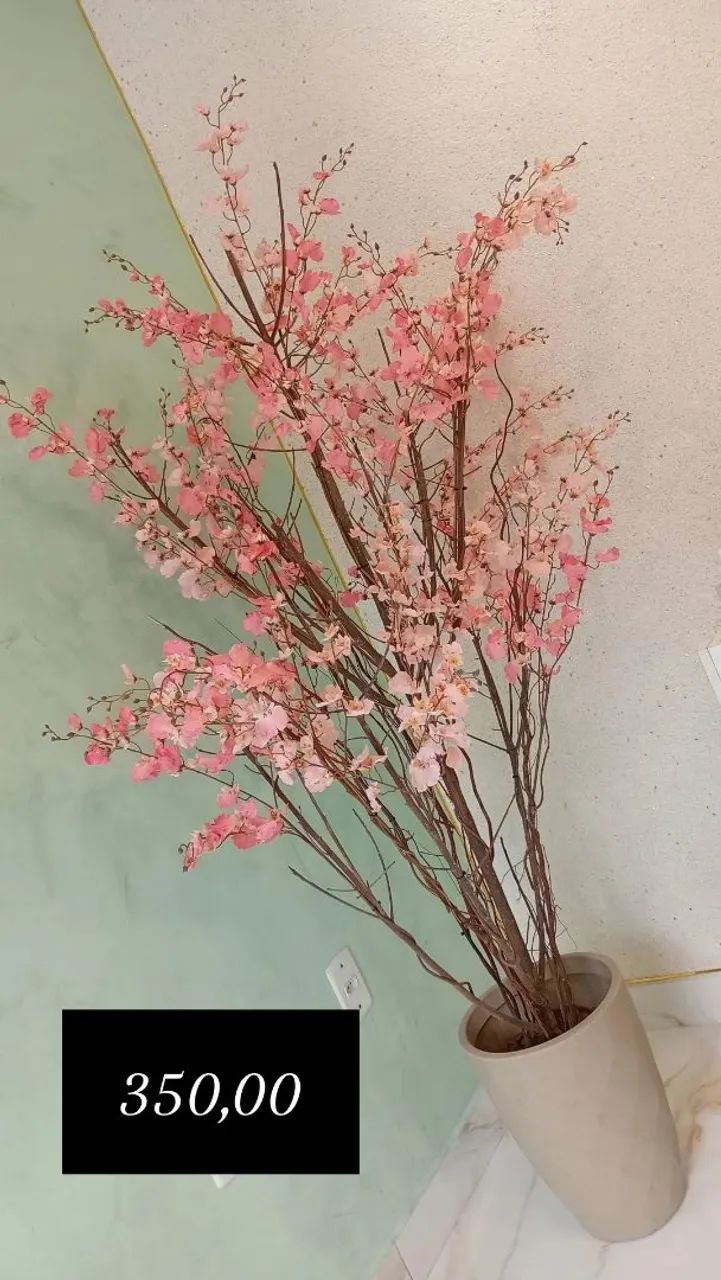 Decoração 