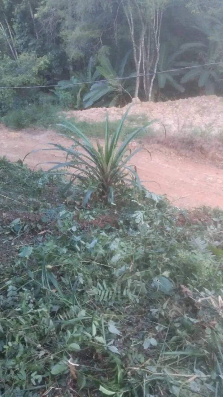 Terreno em São Sebastião, Palhoça/SC - Foto 4