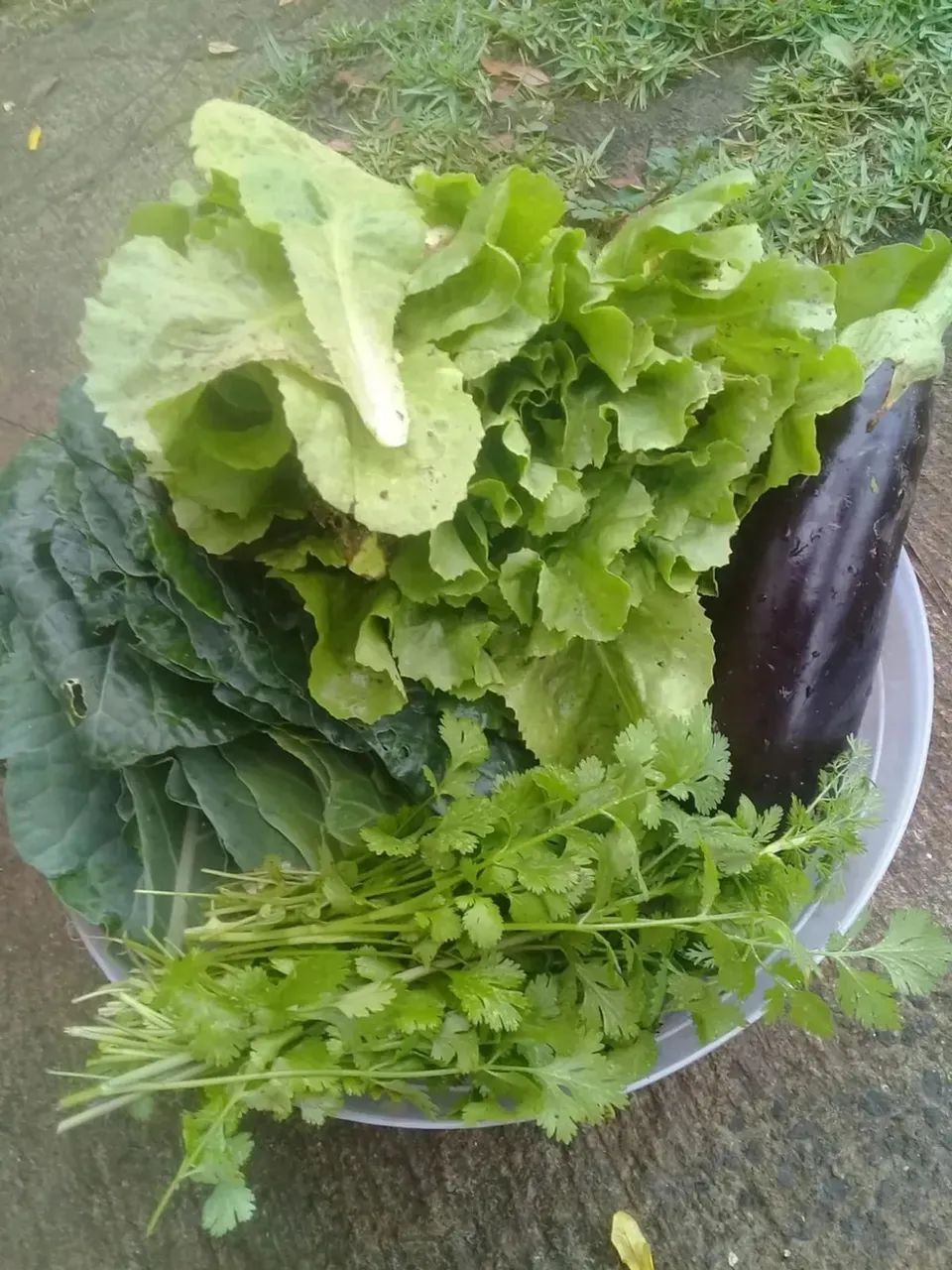 Chácara com piscina e vista panorâmica em Juquitiba - Foto 6