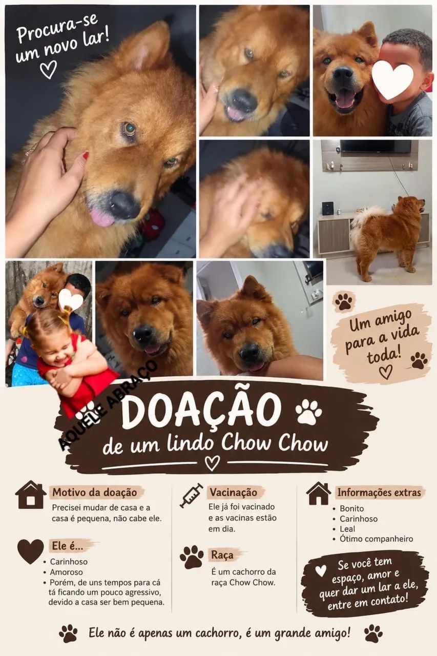 Adoção responsável 