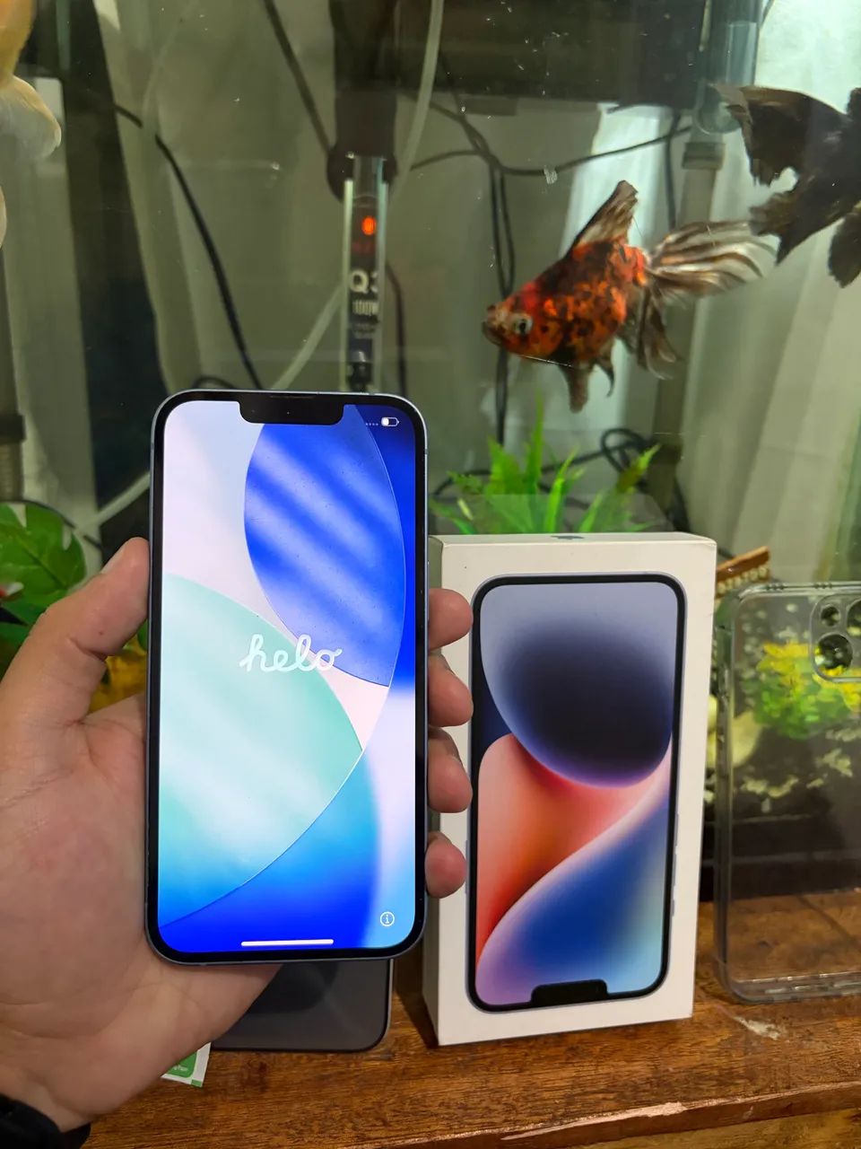 iPhone 14
