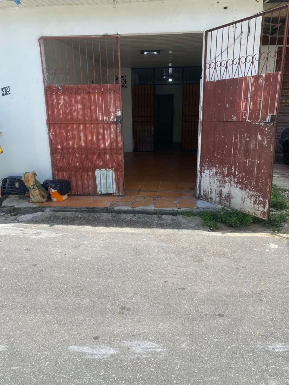 Foto - Manaus - Raiz