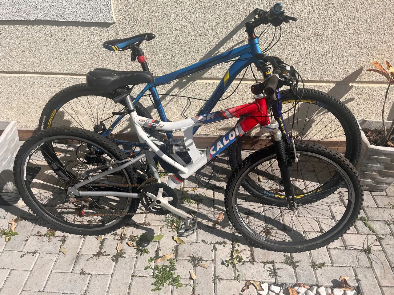 2 Bicicletas de Marcha