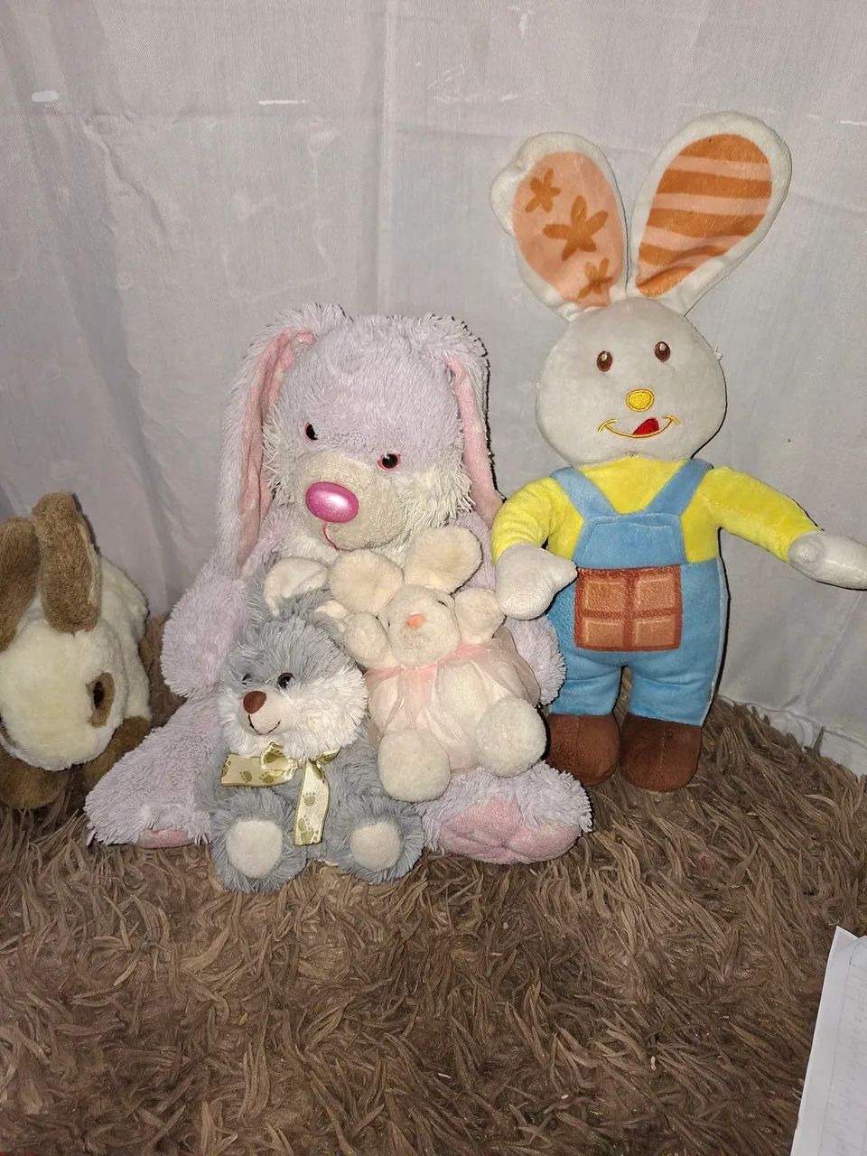Kit 5 Coelhos Pelúcia  - Foto 5
