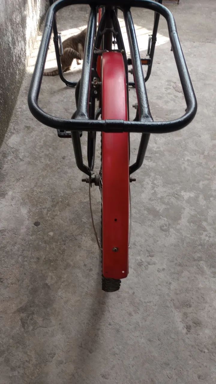 Bicicleta cargueira  - Foto 4