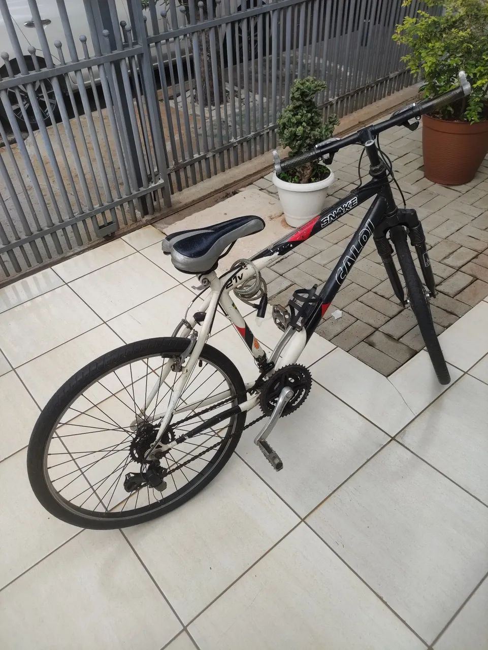 Bicicleta 