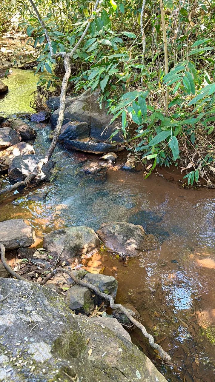 Chácaras com Córrego em Bonfinópolis-GO - Foto 3