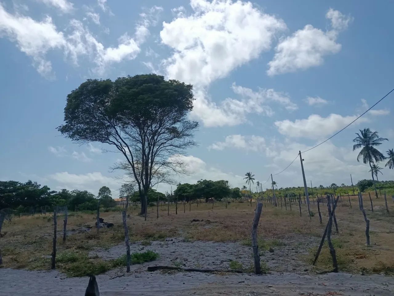 Vendo Terreno - Paripueira Beberibe CE - Foto 2