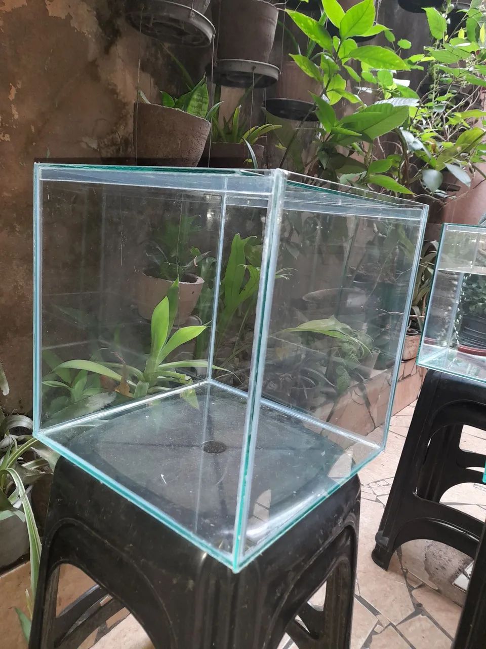 Aquário 30 litros cubo 31x31x31 novo!! - Foto 2