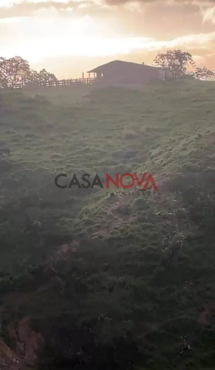 Fazenda com 135 tarefas em Malhador - Foto 4