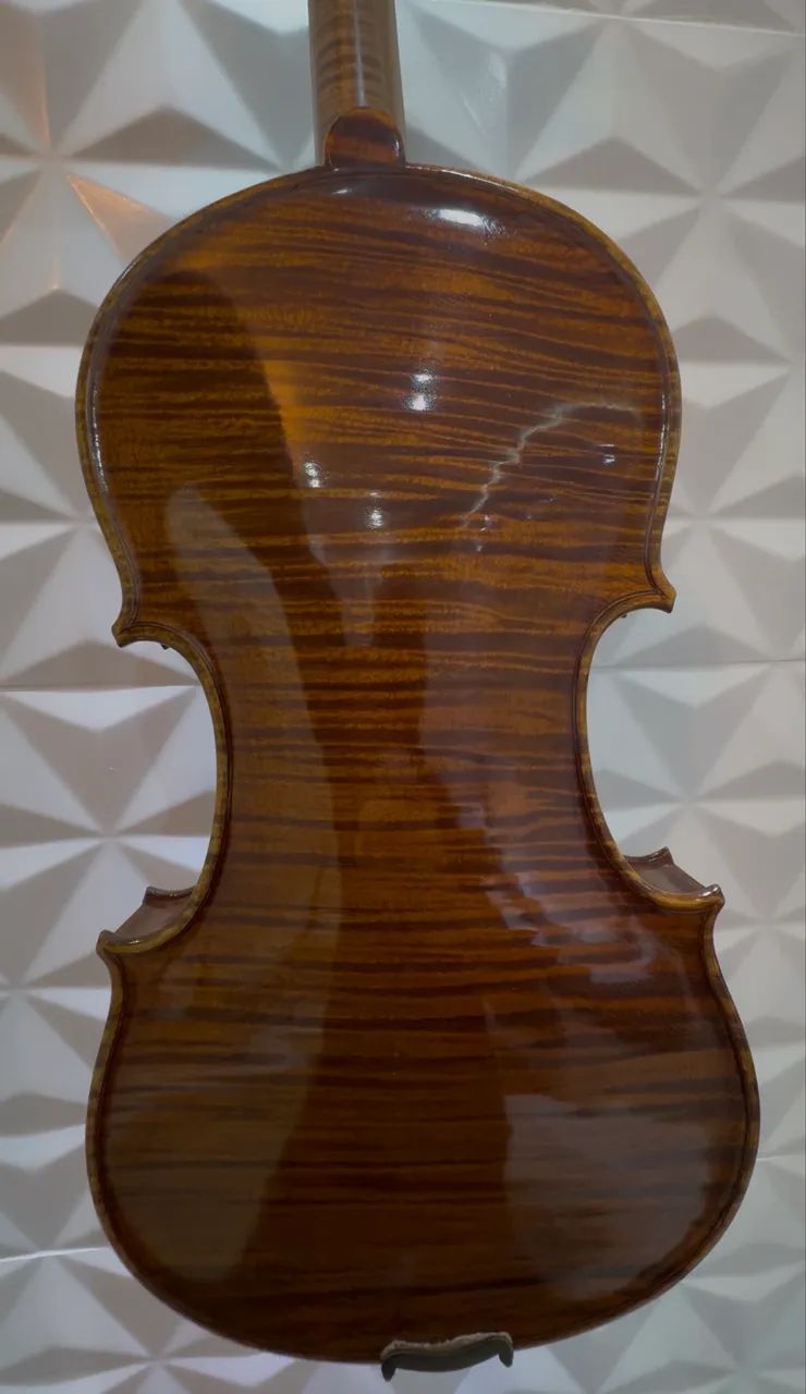 Violino - Foto 5