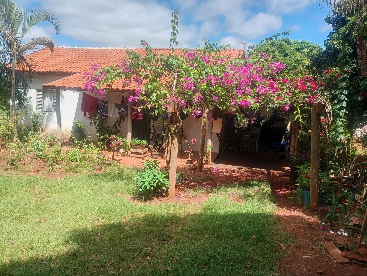 Vendo Sítio 5 alqueires Anaurilandia MS