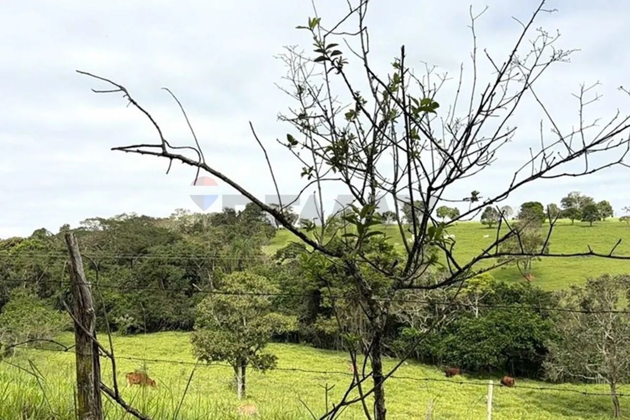 Área de compensação Ambiental - Itapecerica/MG - Foto 4