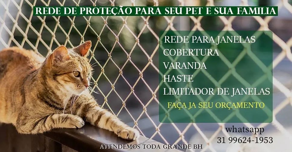 Rede de proteção 