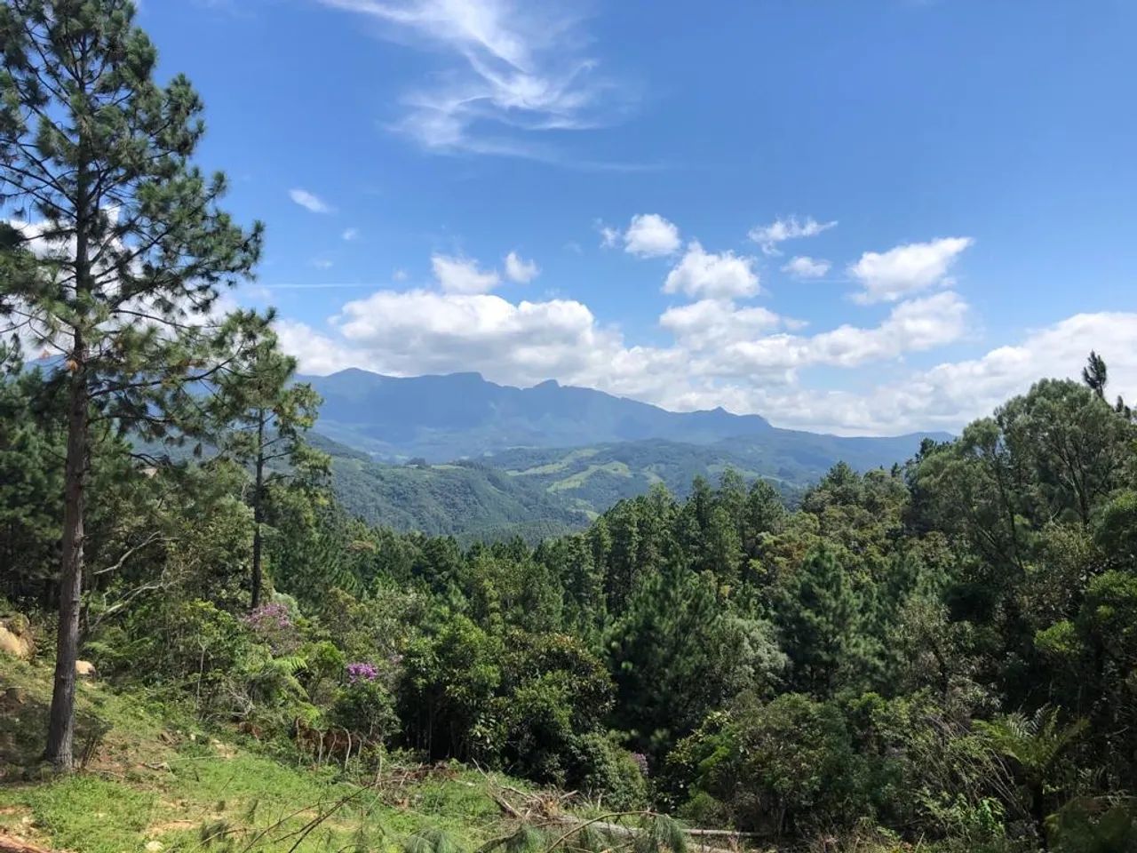 TERRENO RURAL | 3,5 HECTARES | ANITAPOLIS -SC - Foto 3