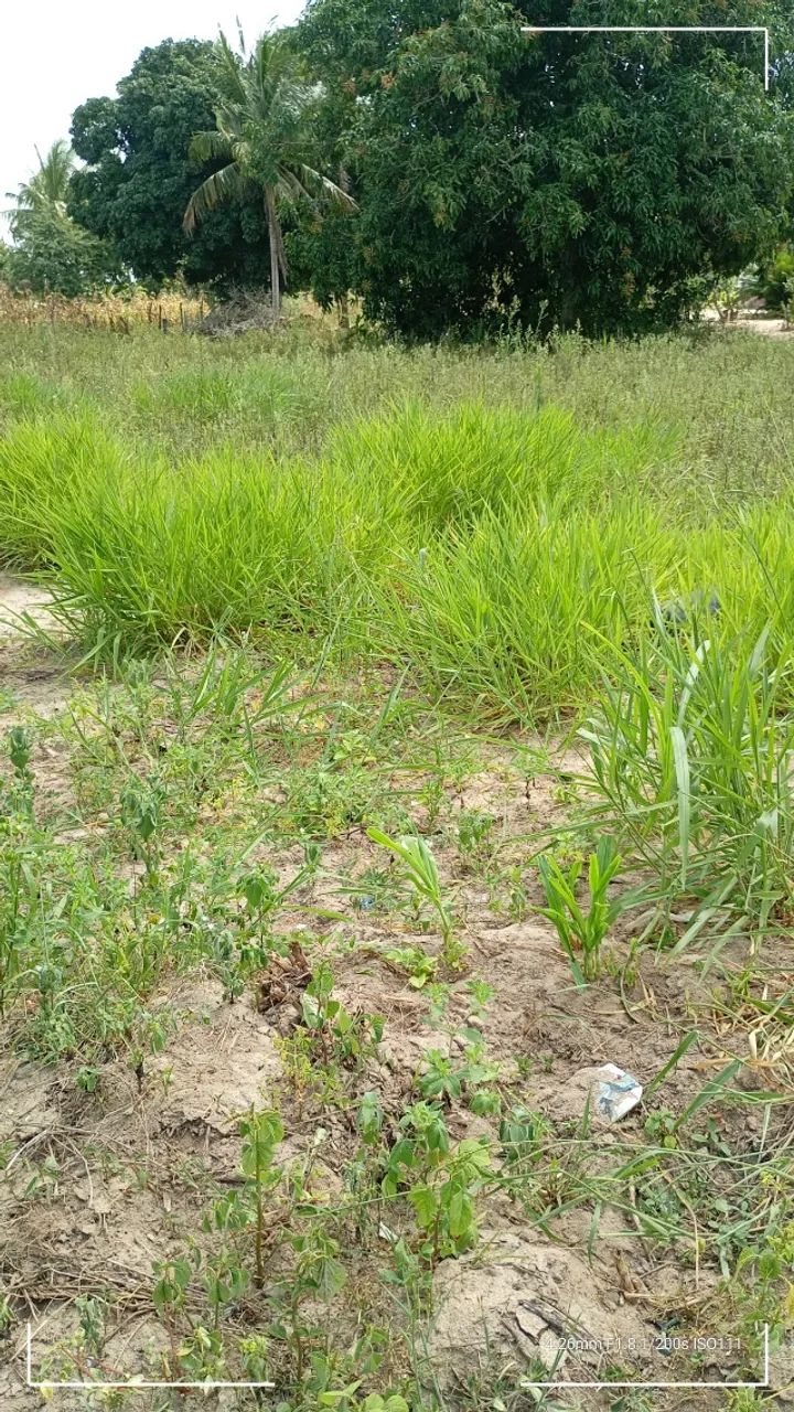 Vendo - Foto 2