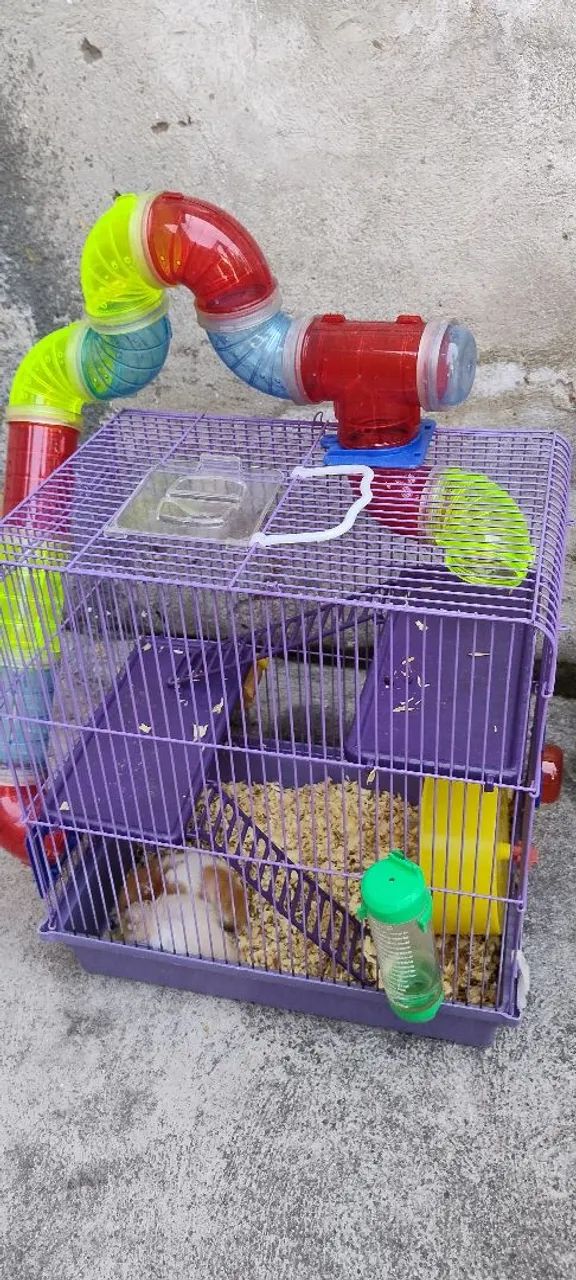 Vendo gaiola para hamster de 3 andares com, comedouro, bebedouro e roda de ecercicios - Foto 4