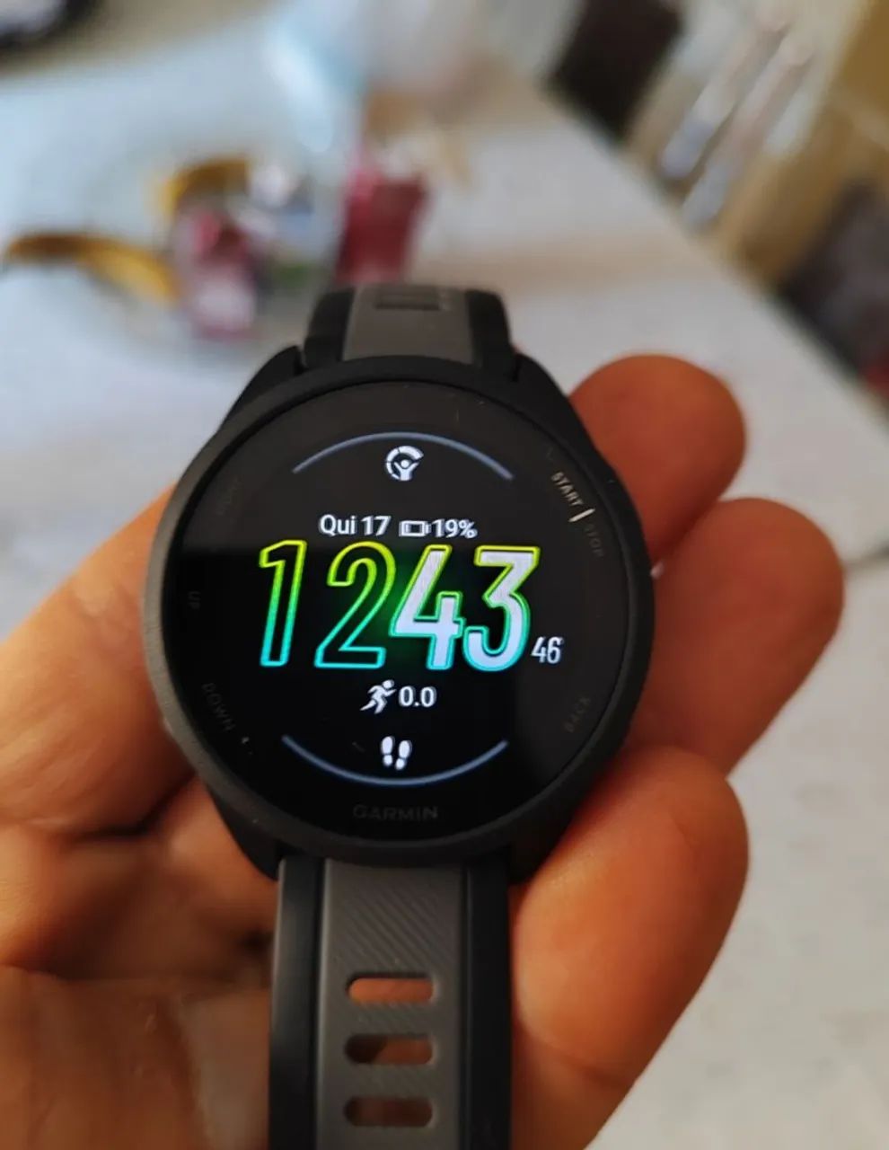 Garmin 165 semi novo 