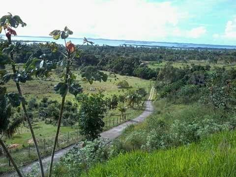 Espetacular fazenda, Salinas das Margaridas Bahia - Foto 5