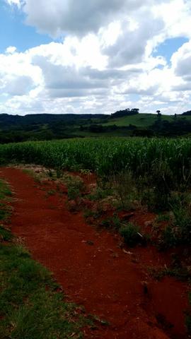 Procuro fazenda a venda campo Mourão