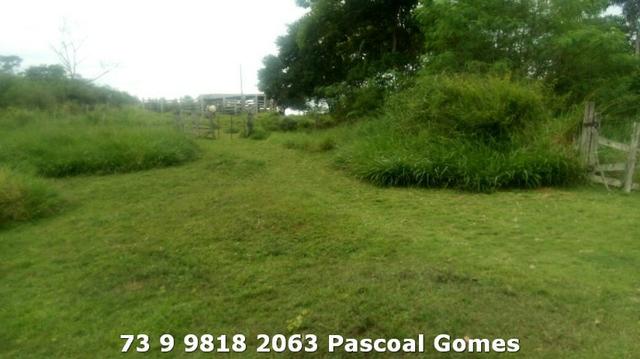 Fazenda a venda Bahia - Foto 5