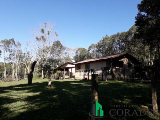 Haras em Campina Grande do Sul - Foto 16