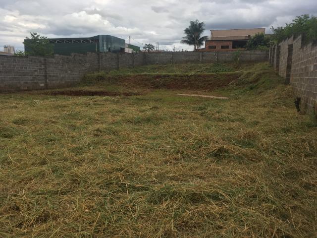 Terreno Industrial 1200m² - Foto 5