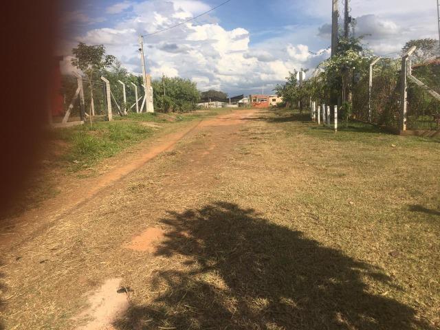 Talismã leal imovesi 3903-1020 plantão todos os dias *