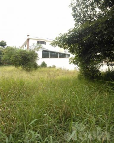 Terrano plano no jardim são caetano - Foto 11