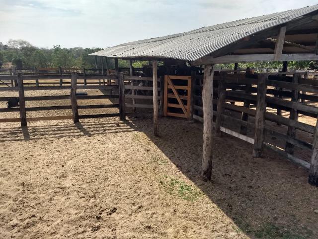 Vendo uma Fazenda para Pecuaria de 1.100 hectares no Lago do Manso - Foto 18