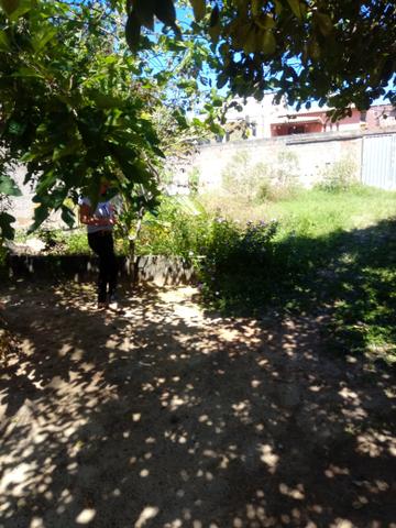 Terreno - Foto 3