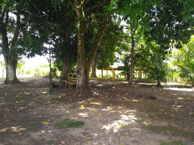 Sítio em apeú - Foto 8