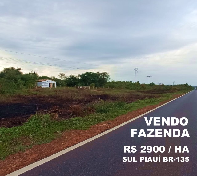 Vendo Fazenda R$2.900 /ha frente BR135 Monte Alegre Piauí, Pecuária 2.675 HA