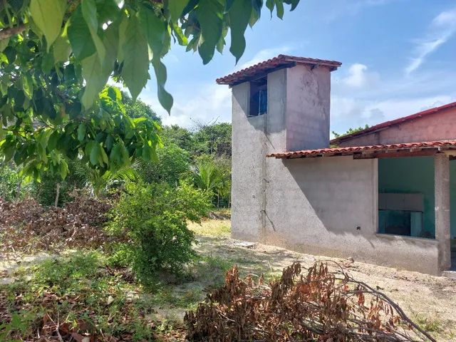 Vendo ou troco chácara, sítio. Entre Pindoretama e Cascavel - Foto 2