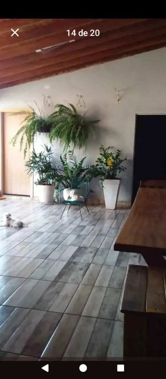 Foto - Campo Grande - Parque Dallas