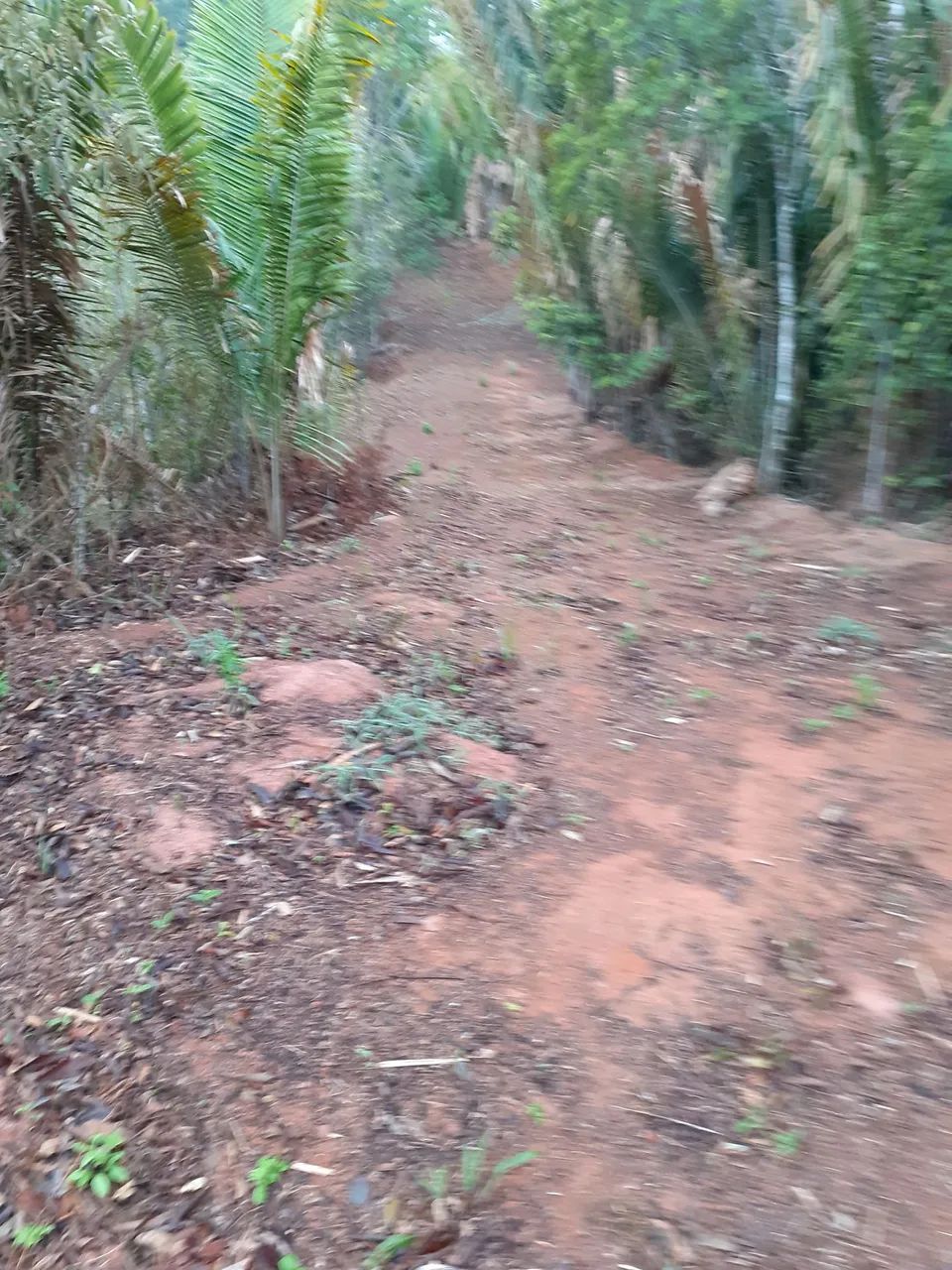 Sítio em Biriricas D.M  - Foto 5