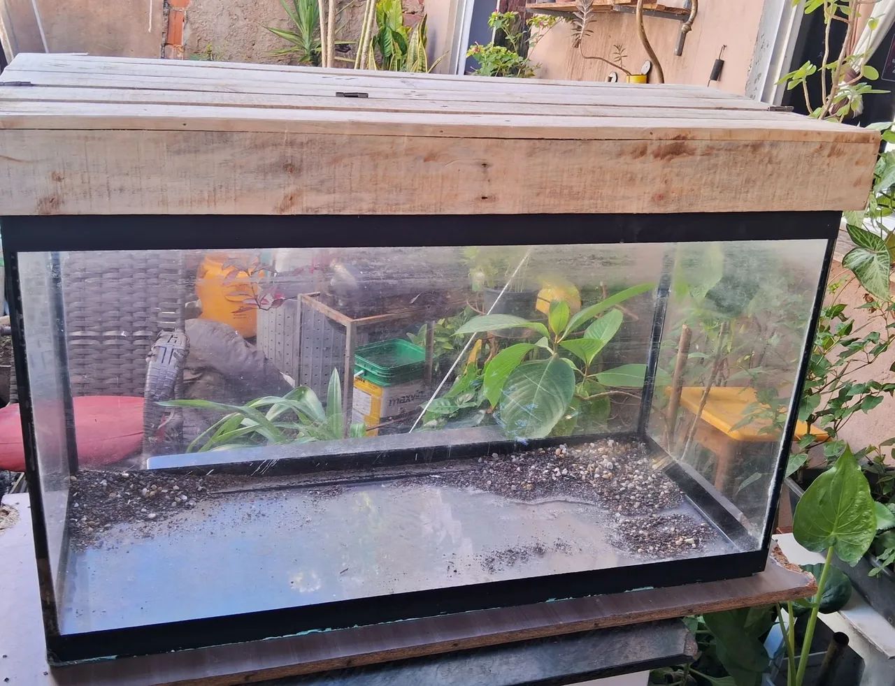 Aquário 260 Litros - Foto 2