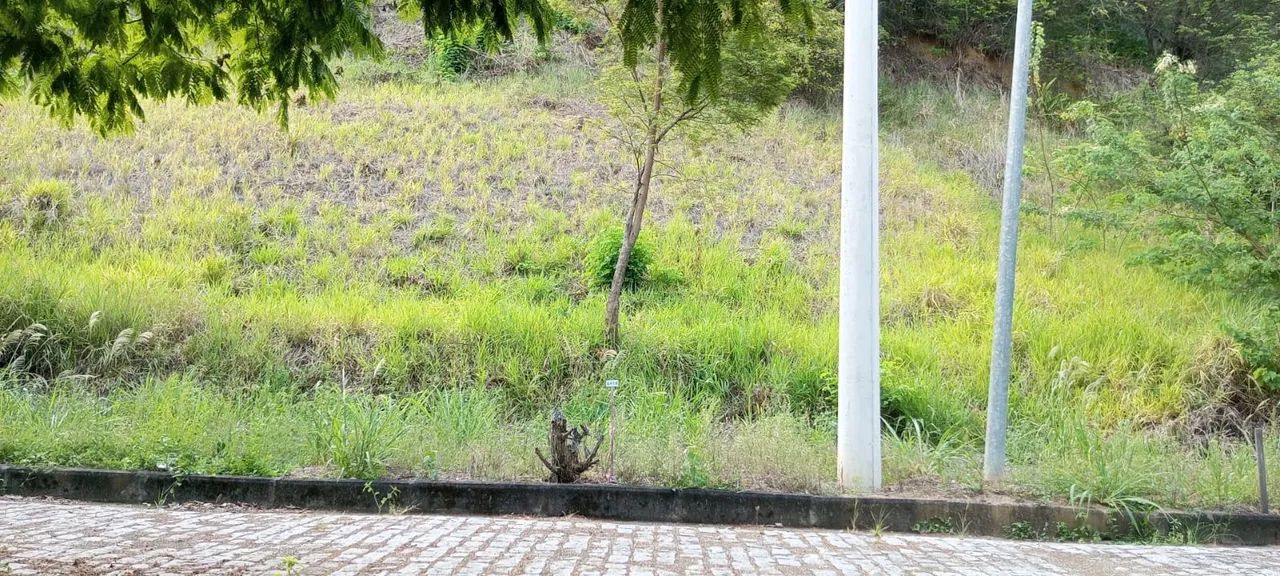 Foto - Rio de Janeiro - Campo Grande