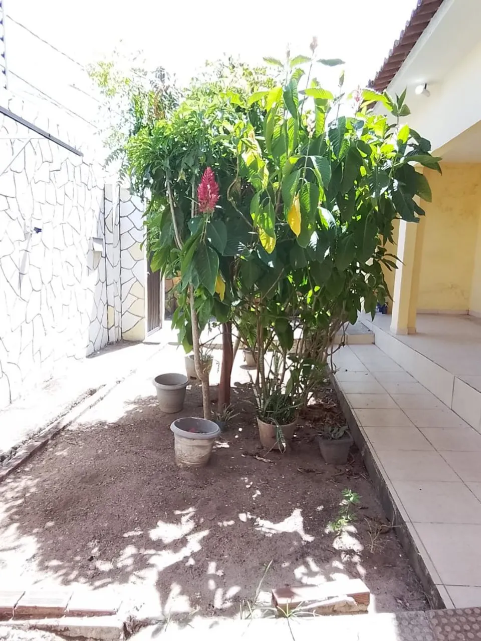 Alugo casa maravilhosa no bairro primavera.