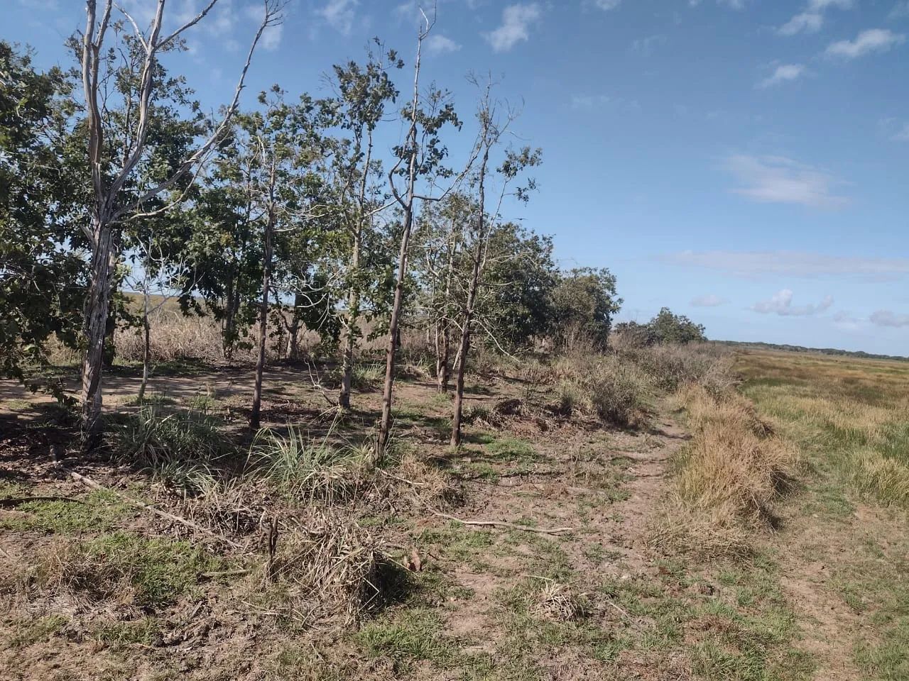 Excelente Fazenda legalizada, para venda em Quissamã - Rio de Janeiro. - Foto 2