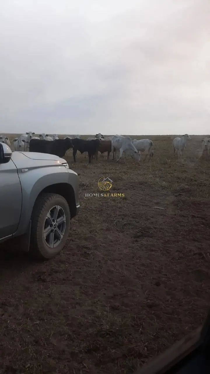 Vende esta propriedade de porteira fechada em nova Ubiratan - MT - Foto 5