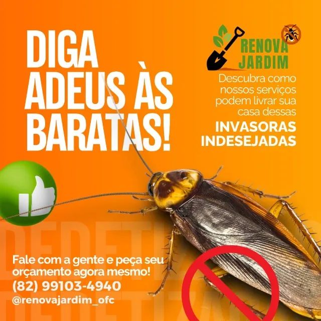 Dedetização e Controle de Pragas - Foto 3