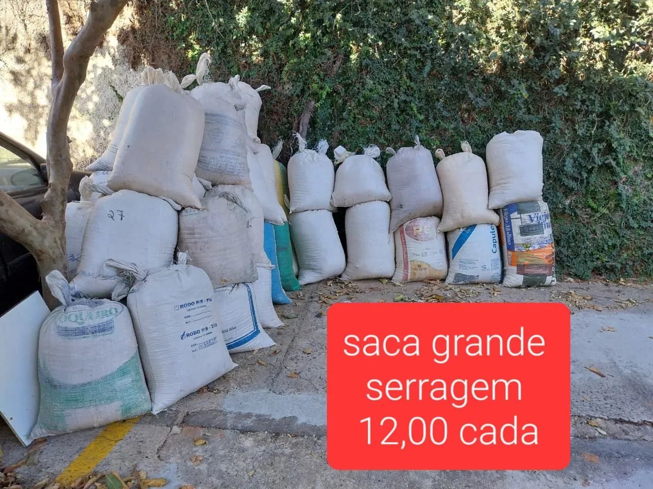 Madeira e serragem - Foto 4