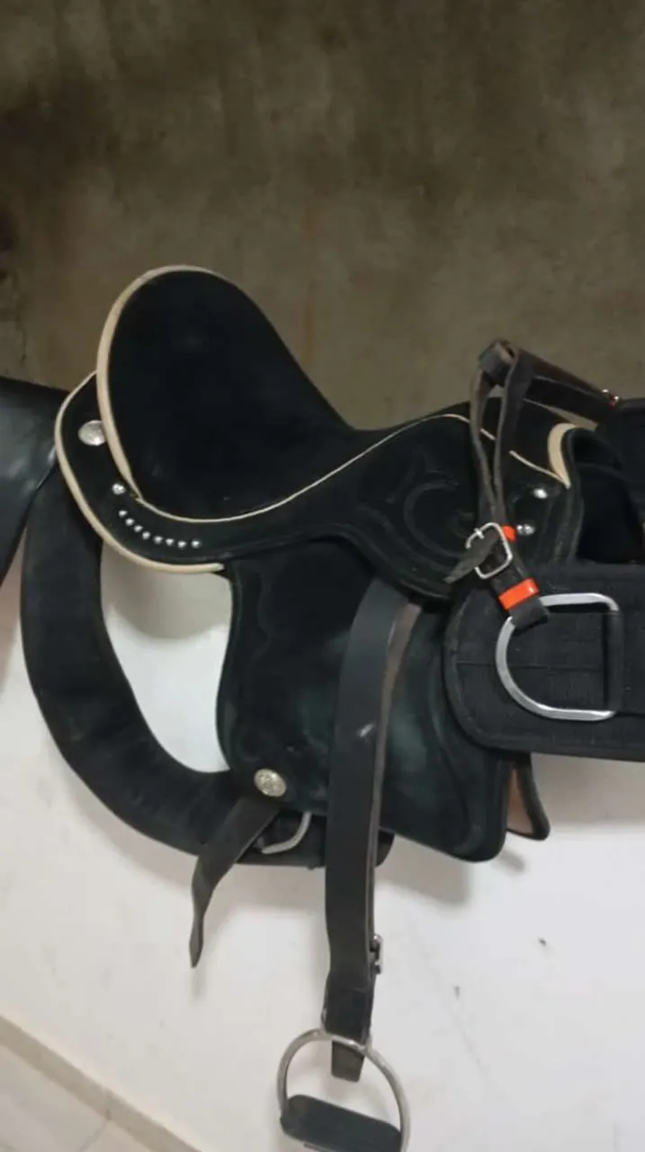 Sela para Cavalo