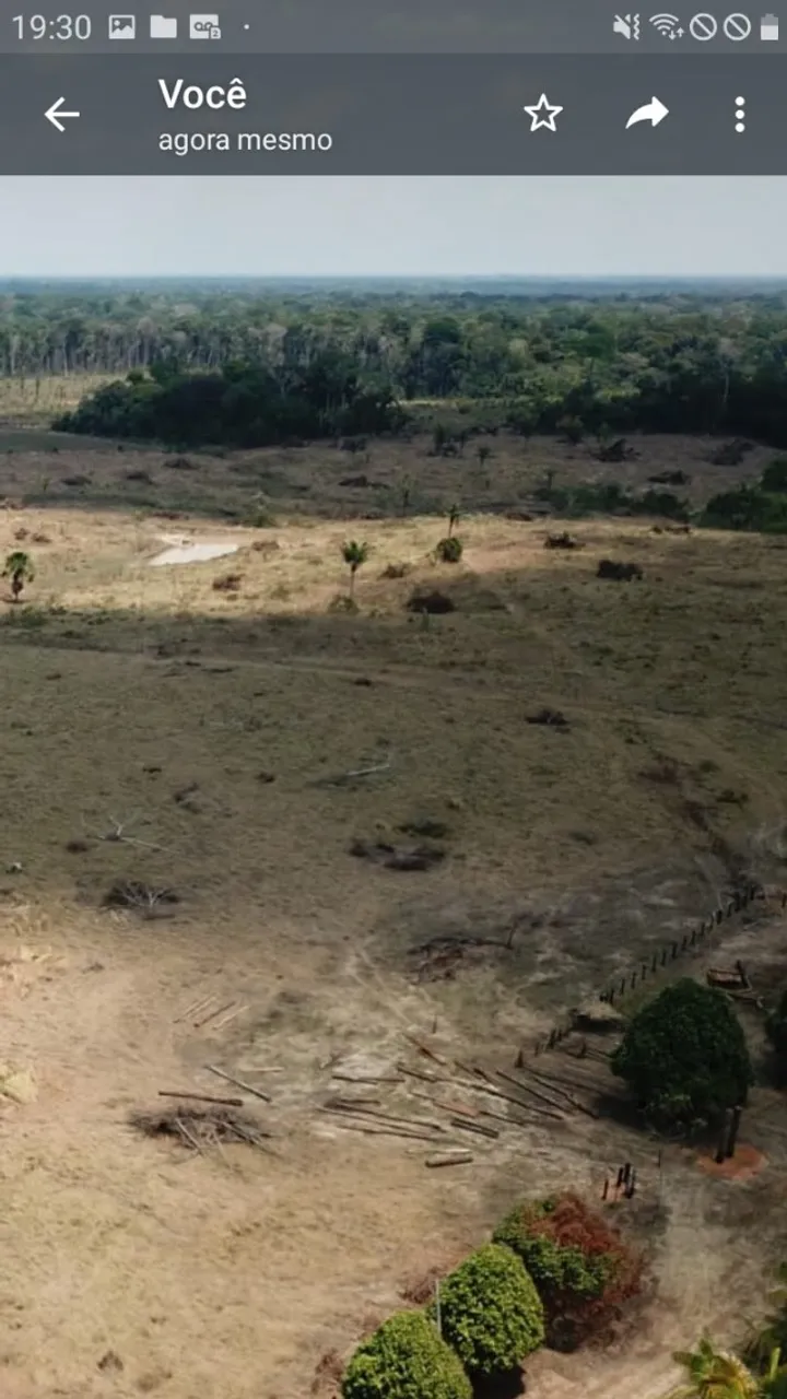 Vende-se FAZENDA EM HUMAITÁ-AM