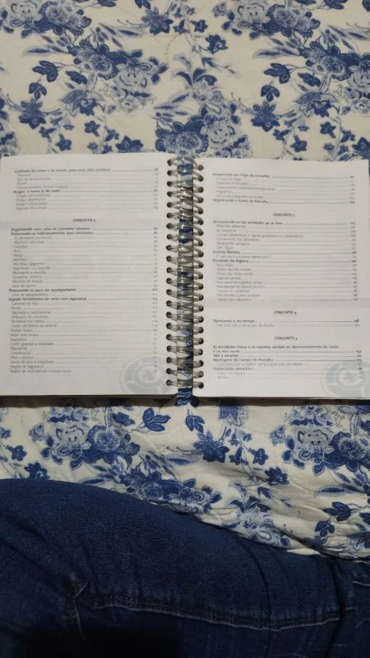 Guia Desafio Sênior  - Foto 3