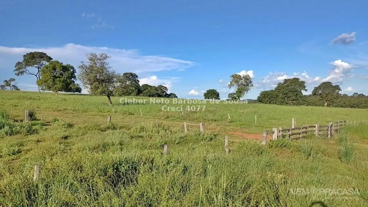 VENDO FAZENDA 1700 HECTARES EM RIO VERDE DE MATO GROSSO!