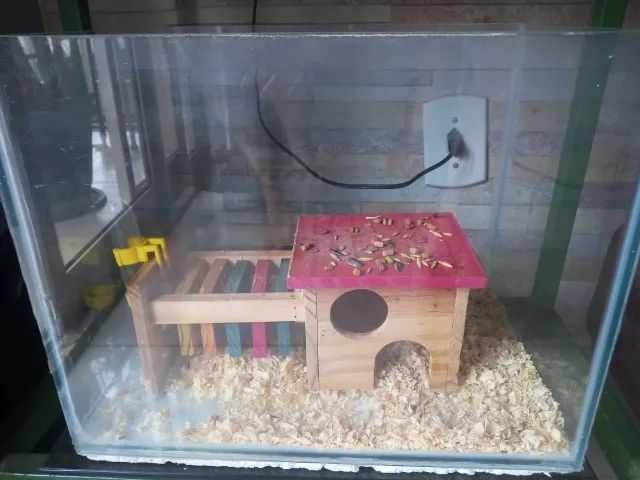 Aquario e casa de ramister + pacote de palha