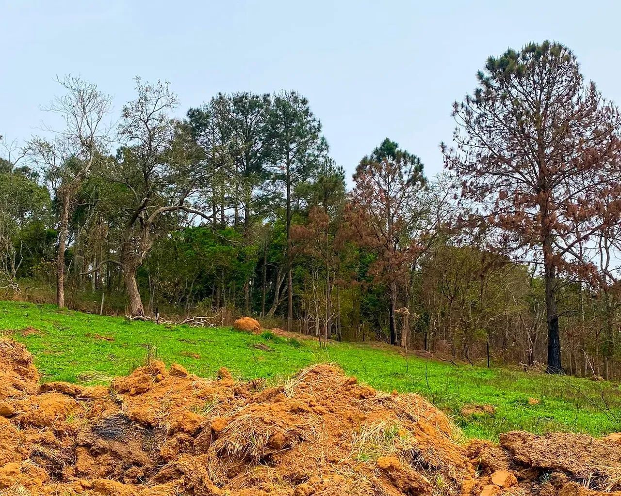 DEU A LOUCA NO CORRETOR! Lotes de 500m² em Ibiúna com condições especiais! - Foto 3