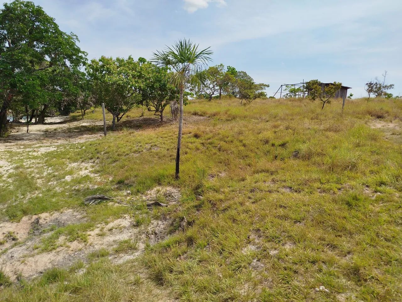 Vendo terrenos para chacara - Foto 4